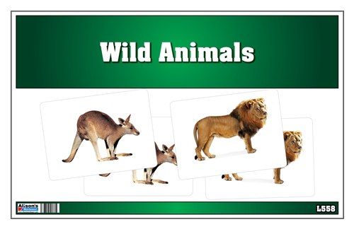 Picture Matching Cards - Wild Animals (Printed, Laminated and Cut)