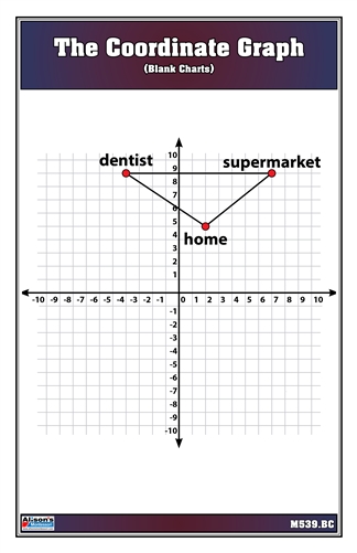 The Coordinate Graph - Blank Charts