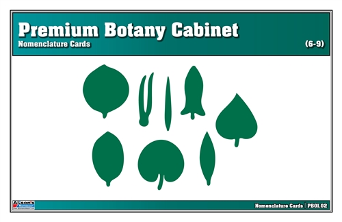 Premium Botany Cabinet Nomenclature Cards (6-9) (Printed)