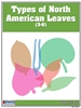North American Botany Leaf Three-Part Cards