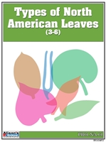 North American Botany Leaf Three-Part Cards