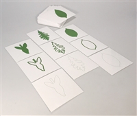 North American Botany Leaf Cards PLC