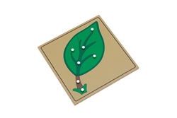 Parts of a Leaf Puzzle with Nomenclature Cards (3-6) (Premium Quality)