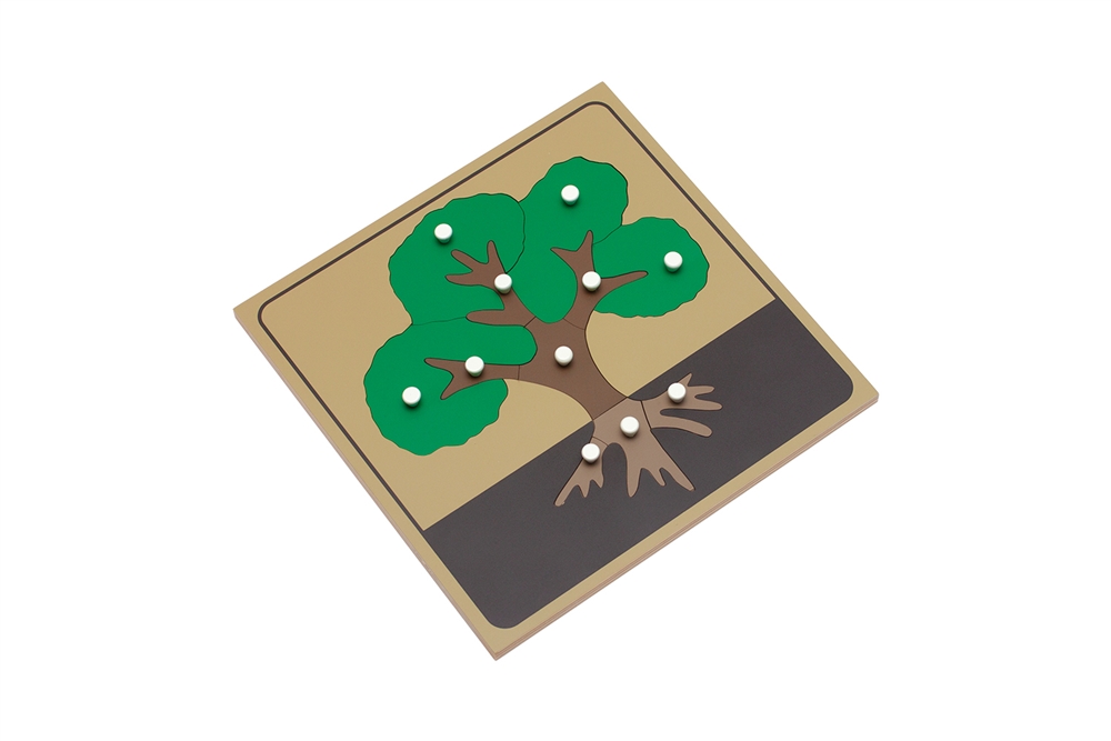  Parts of a Tree Puzzle