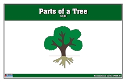 Parts of a Tree Puzzle Nomenclature Cards (3-6)
