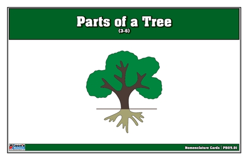 Parts of a Tree Puzzle Nomenclature Cards (3-6)