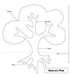 Parts of a Tree Puzzle Control Chart (Premium Quality)