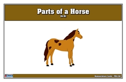 Parts of a Horse Puzzle Nomenclature Cards (6-9)