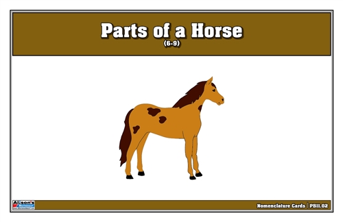 Parts of a Horse Puzzle Nomenclature Cards (6-9)