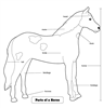 Parts of a Horse Puzzle Control Chart (Premium Quality)