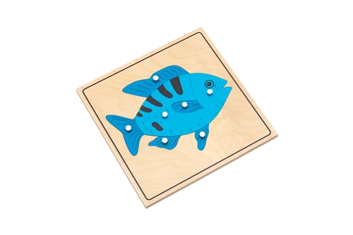 Parts of a Fish Puzzle