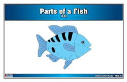 Parts of a Fish (Printed)