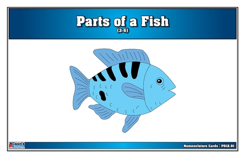 Parts of a Fish (Printed)
