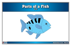 Parts of a Fish Puzzle Nomenclature Cards (6-9)