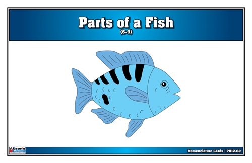 Parts of a Fish Puzzle Nomenclature Cards (6-9)