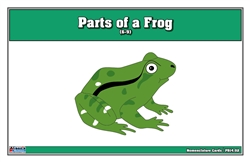 Parts of a Frog Puzzle Nomenclature Cards (6-9)