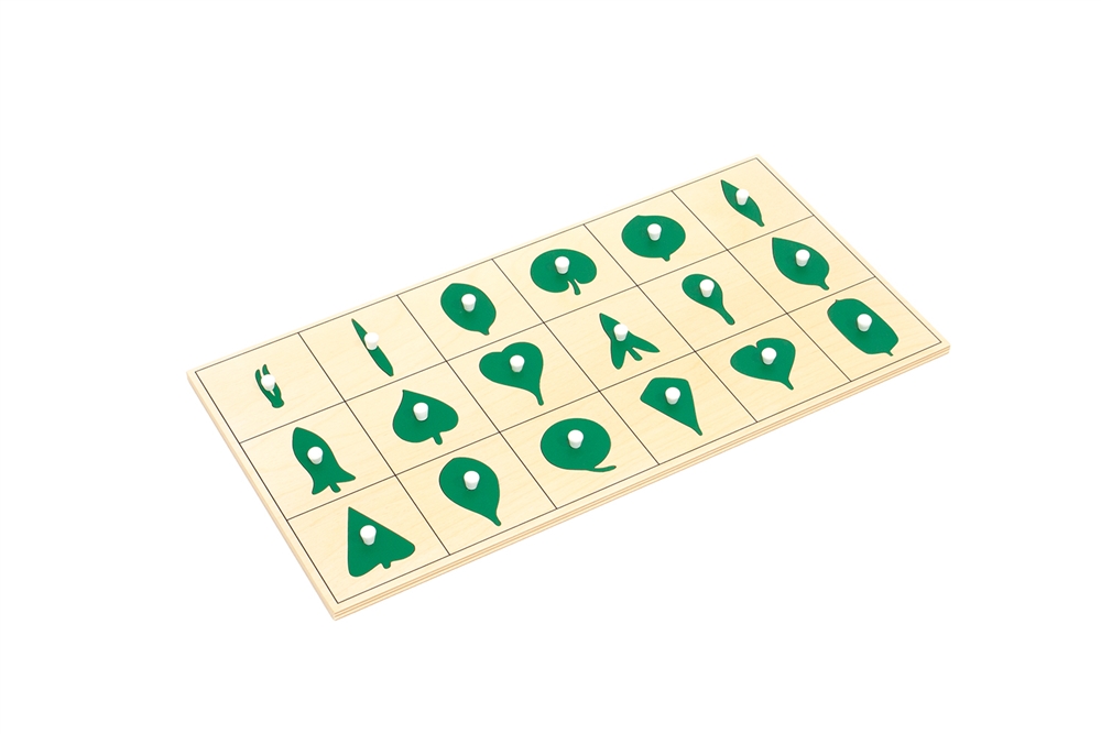 Montessori Materials: Botany Leaf Shapes Puzzle and Control Chart ...