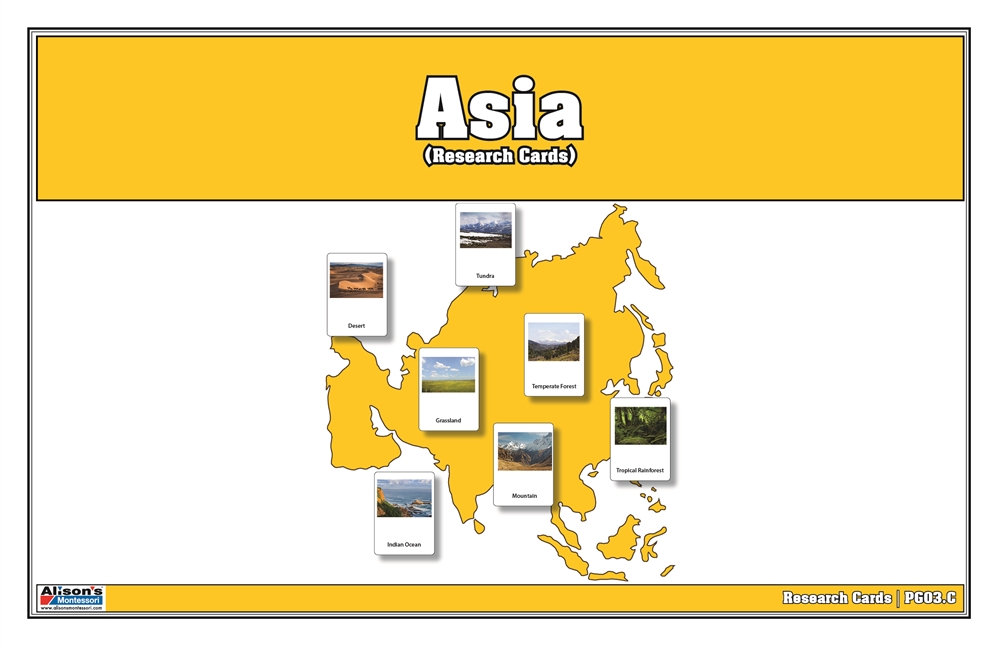 Biomes of Asia Puzzle Map Research Cards 