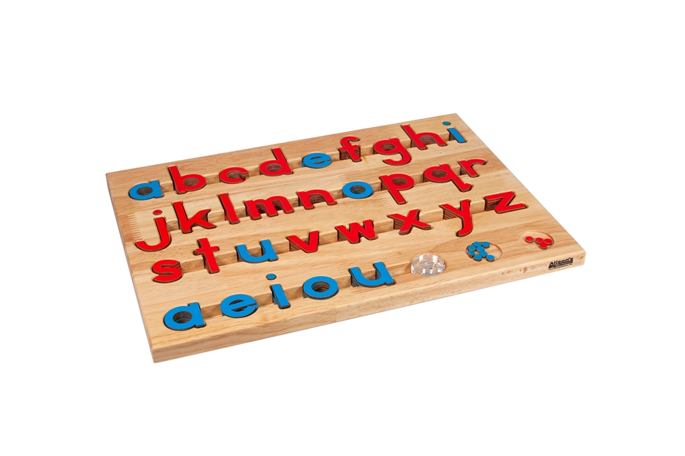 Montessori Materials: Small Movable Alphabets: Red with Blue Vowels ...