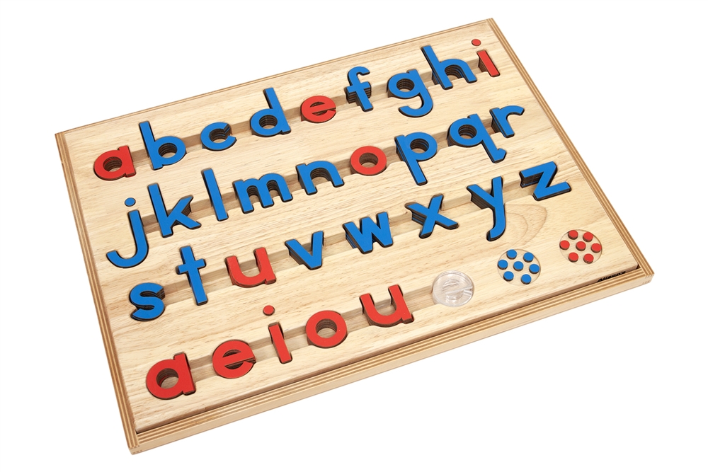 Montessori Materials: Small Movable Alphabets: Blue with red vowels ...