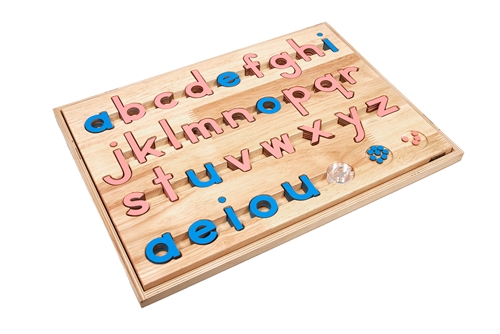 Lowercase Small Movable Alphabets: Pink with Blue Vowels - Print (Configured Boxes)