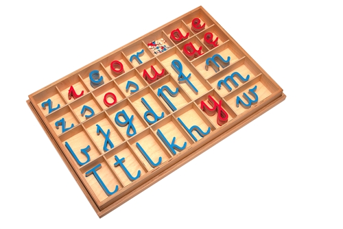 Montessori Materials: Large Movable Alphabets: Polish (Premium Quality)