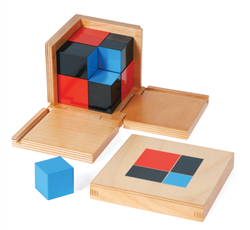 Binomial Cube (Premium Quality)