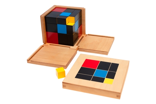 Trinomial Cube (Premium Quality)