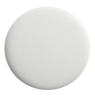 Touch Up Paint (White)