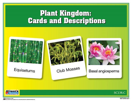 Montessori Materials: Plant Kingdom Chart