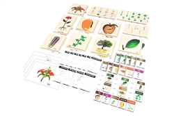 Lower Elementary Classified Botany Nomenclature Cards (Printed) - Complete Set