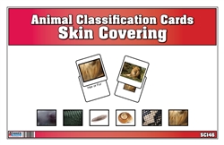 Animal Classification Cards by Skin Covering