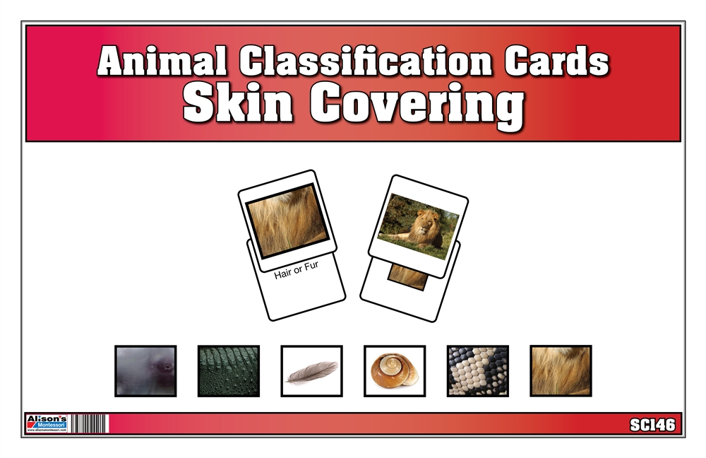 Montessori Materials: Animal Classification Cards by Skin Covering