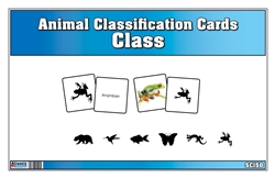 Animal Classification Cards by Class