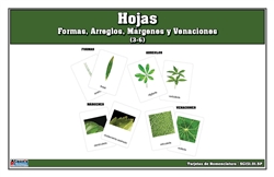 Types of Leaves Nomenclature Cards (Spanish)