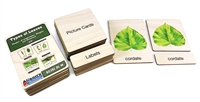 Types of Leaves Nomenclature Cards: Wooden