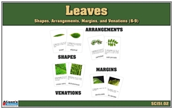 Shapes of Leaves, Margins of Leaves, Venations of Leaves (6-9)