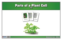 Parts of a Plant Cell Nomenclature Cards 3-6 (Printed)