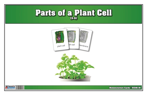 Parts of a Plant Cell Nomenclature Cards 3-6