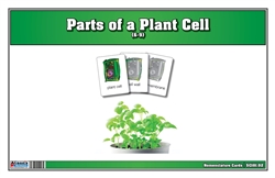 Parts of a Plant Cell Nomenclature Cards 6-9 (Printed)