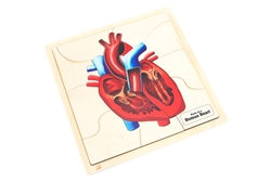 Parts of a Human Heart Puzzle
