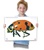 Giant Insects Posters And Reproducible Kit