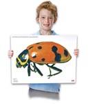 Giant Insects Posters And Reproducible Kit