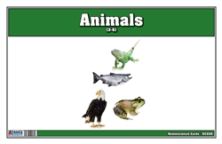 Animals Nomenclature Cards
