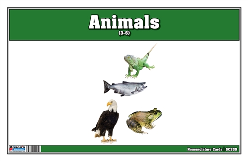Animals Nomenclature Cards