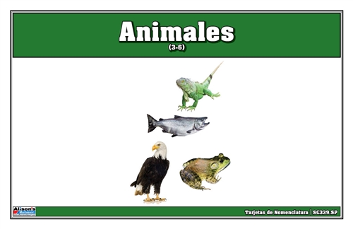Animals Nomenclature Cards (Spanish)