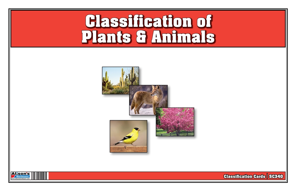 Montessori Materials: Classification of Plants & Animals Nomenclature Cards