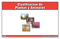 Classification of Plants & Animals Nomenclature Cards (Spanish)