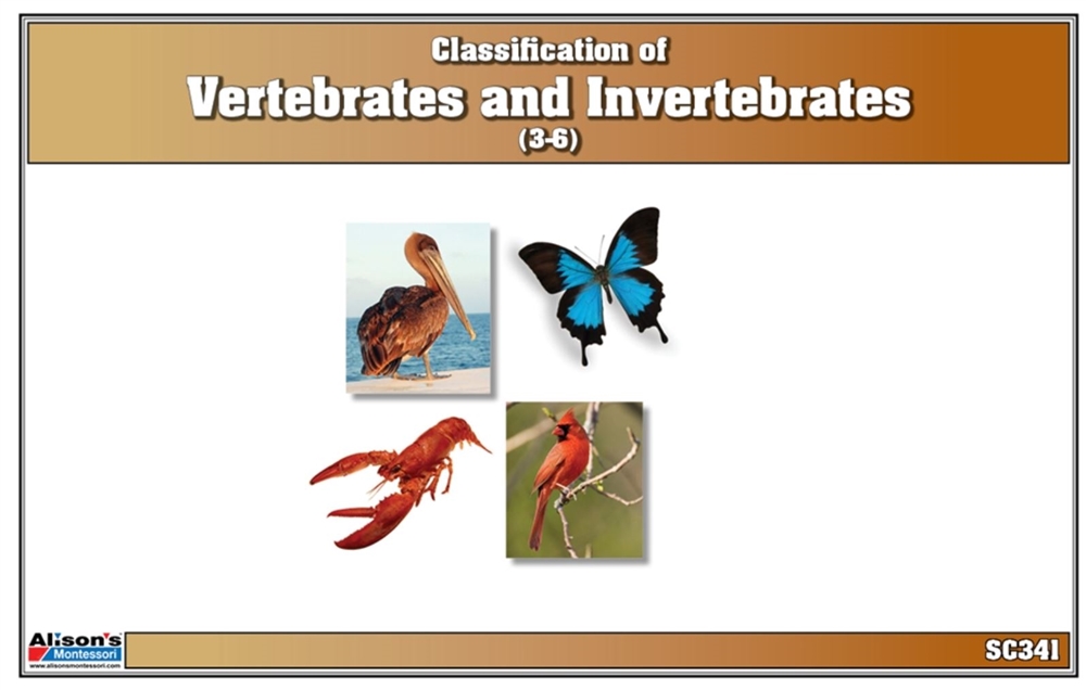 Montessori: Classification of Vertebrates & Invertebrates Nomenclature Cards