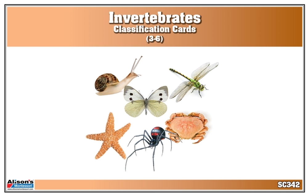 Montessori: Invertebrates Classification Nomenclature Cards
